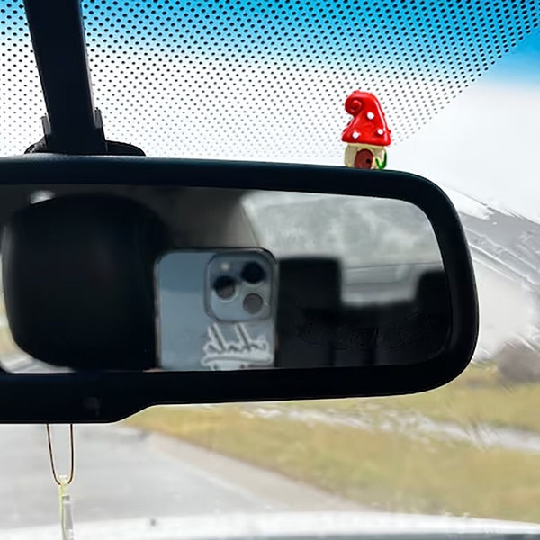 Funny Car Dashboard Etsy