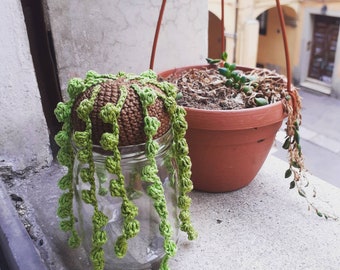 Senecio amigurumi