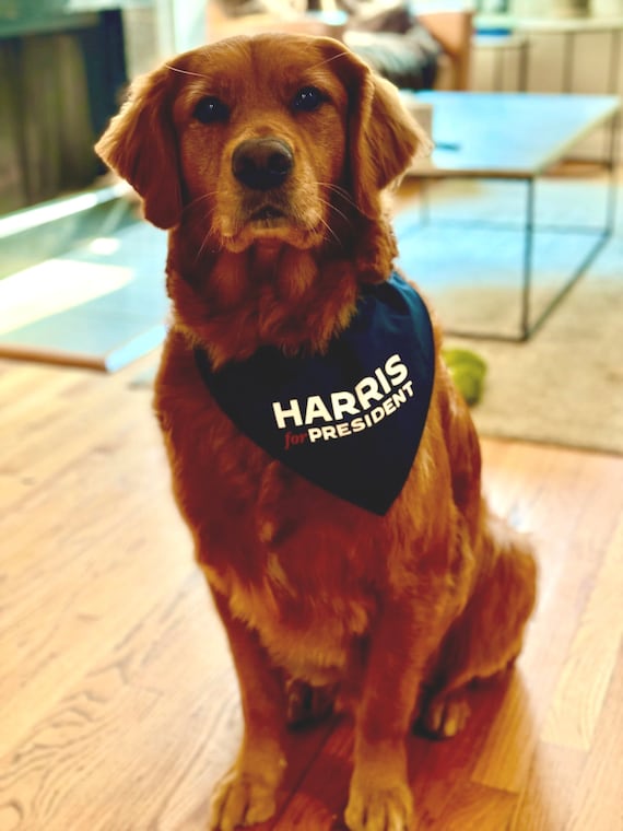 Harris for President Dog Bandana 2024, Harris dog cat bandana, President Harris, Harris Cat Lady, Madame President, Harris Walz VP