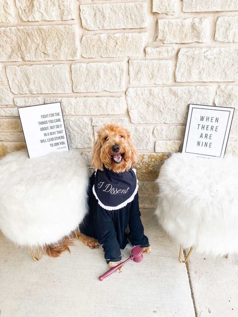 RBG Dog Bandana I Dissent RBG Ruth Bader Ginsberg Dog Etsy