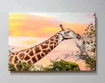 Safari Animal Prints - Instant Download | Nursery Wall Art | Set of 4 Safari Photos, Leopard, Giraffe, Lion & Baby Elephant | Jungle Nursery