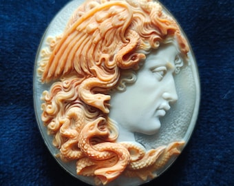 Medusa (Gorgon).