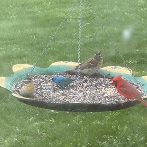 Recycled Tire Bird Feeder