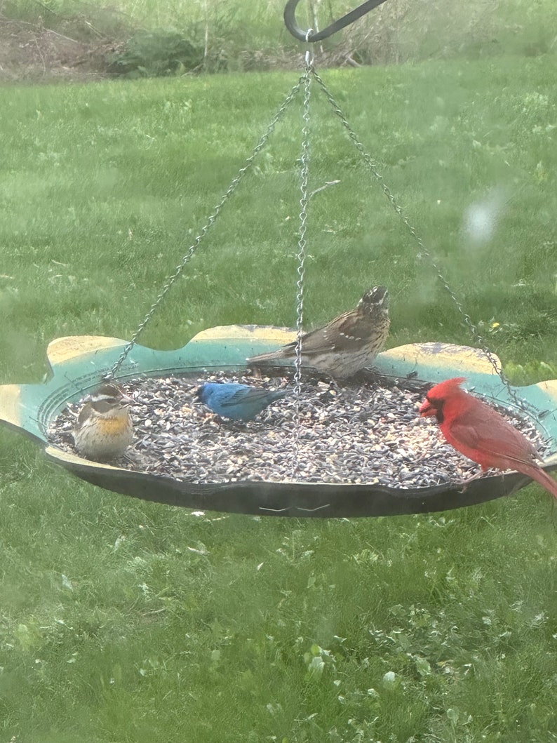 Recycled Tire Bird Feeder image 1