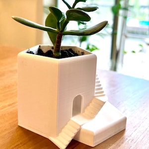 May include: A white, 3D-printed planter with a miniature staircase design. The planter holds a small jade plant with green leaves and a brown stem. The design includes a small arched doorway.