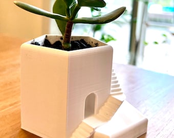 3D Printed Succulent Planter (Set of 2)