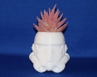 3D Printed Stormtrooper Planter: Star Wars Inspired Fan Art
