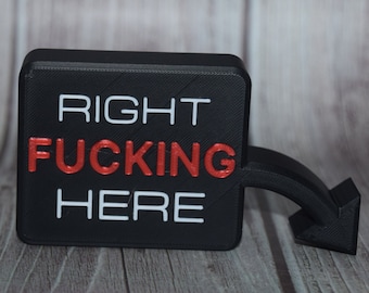 Right F'ing Here ~ 8 Ball Pocket Marker ~ Fun for Pool Billiards Table