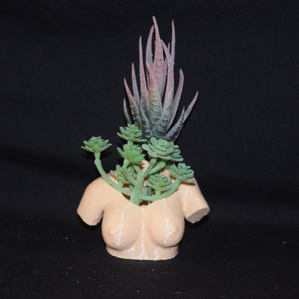 BREAST Boobies Woman Nude Female Upper Torso Boob Flower Succulent Pot Planter Air Plant Figure 3D Printed USA