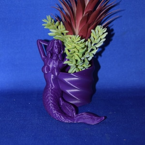 May include: Purple mermaid planter with a succulent plant inside. The mermaid is holding her tail up and the plant is growing out of her hair.