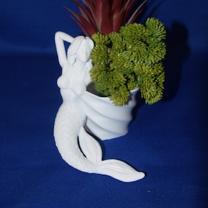 May include: White ceramic mermaid planter with a green and red succulent plant inside. The mermaid is sitting with her tail curled around the planter.