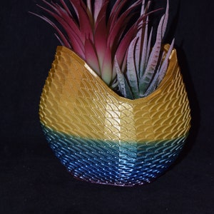 May include: A rainbow-colored ceramic planter with a textured, scaly design. The planter is filled with two green and red succulent plants.