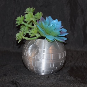 Może przedstawiać: Srebrna doniczka w kształcie Gwiazdy Śmierci z niebiesko-zieloną sukulentem w środku.
