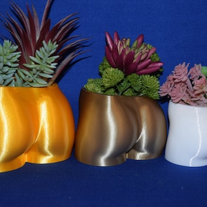 3D Printed Booty Planter: Female Torso Succulent Pot, Desk Organizer