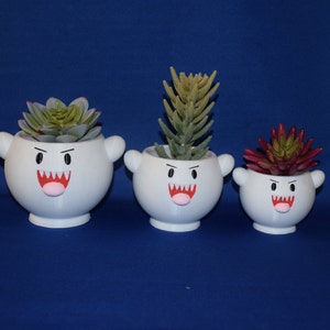 May include: Three white ceramic ghost-shaped planters with different sized succulents. The planters have a cartoon ghost face with red eyes, teeth, and a pink tongue.