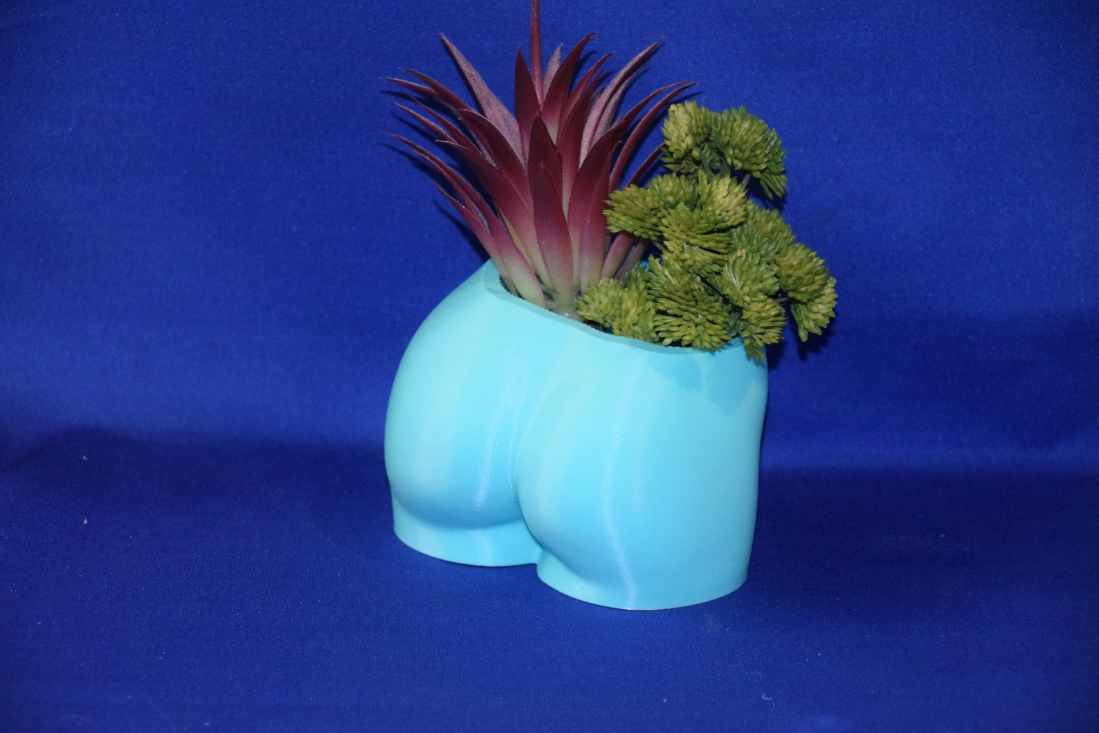 Booty Butt Bum Woman Nude Female Lower Torso Rear Flower Etsy Polska