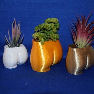 3D Printed Female Torso Planter - Novelty Succulent Pot, Desk Organizer