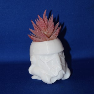 May include: A white plastic planter shaped like a Star Wars Stormtrooper helmet with a red succulent plant growing out of the top.
