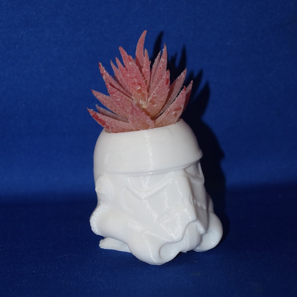 Star Wars Storm Trooper Stormtrooper inspired Flower Succulent Pot Planter Air Plant Figure 3D Printed USA