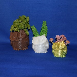 May include: Three owl-shaped planters, each with a different color and texture. The first planter is brown and textured, the second is white and glittery, and the third is gold and smooth. Each planter has a different type of succulent plant growing in it.