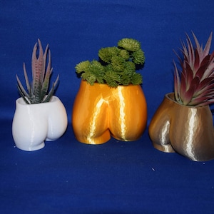 3D Printed Female Torso Planter - Novelty Succulent Pot, USA