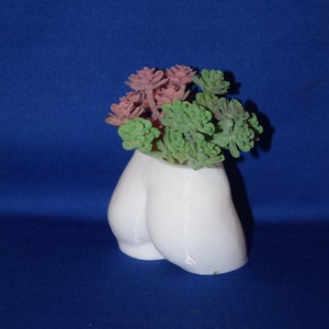 May include: A white ceramic planter shaped like a pair of buttocks, filled with faux succulents in shades of green and mauve. The planter is set against a solid blue background.