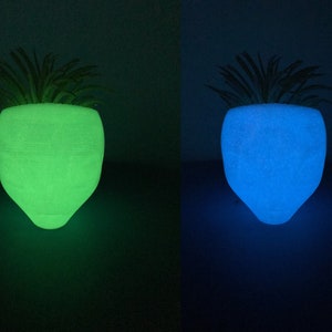 May include: Two glowing planters, one green and one blue, with a plant in each. The planters are shaped like a heart.