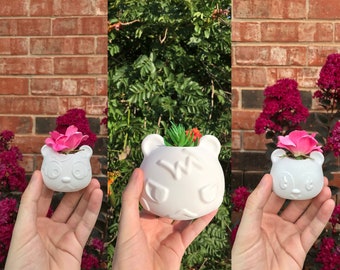 Marshal, Caroline, Poppy Succulent Planter | Home Decor | Modern Planter | 3D Printed with Drainage | Indoor Planter