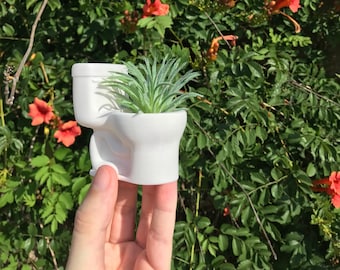 3D Printed Toilet-Shaped Air Plant Holder | Unique Succulent Planter with Drainage for Indoor Home Decor
