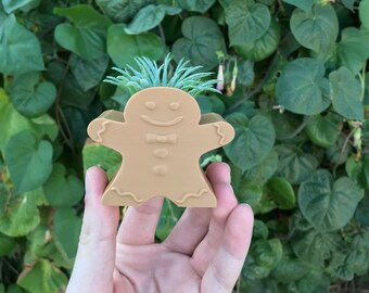 Christmas Gingerbread Man Air Plant Holder | Succulent | Home Decor | Seasonal Gift | 3D Printed Drainage | Indoor Planter | Fall Decoration