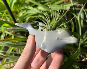 Dolphin Succulent Planter | Home Decor | Modern Planter | 3D Printed with Drainage | Indoor Planter | Air Plant