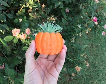 Pumpkin Succulent Planter | Office Decor | Home Decor | Modern Planter | 3D Printed with Drainage | Indoor Planter