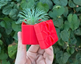 Christmas Gift Box Air Plant Holder | Succulent | Home Decor | Seasonal Gift | 3D Printed with Drainage | Indoor Planter | Fall Decorations