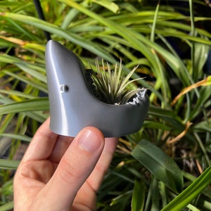May include: A gray 3D printed shark planter with a small air plant growing inside. The planter is being held in a person's hand.