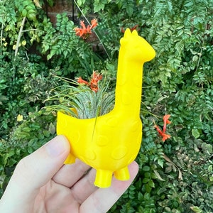 May include: A bright yellow giraffe-shaped planter holding a small air plant. The planter has a long neck, small ears, and a spotted pattern. The planter is held in a hand against a backdrop of green foliage and orange flowers.