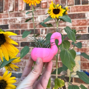 May include: A pink flamingo-shaped planter with a small air plant inside. The planter is being held in a hand against a brick wall background with sunflowers.