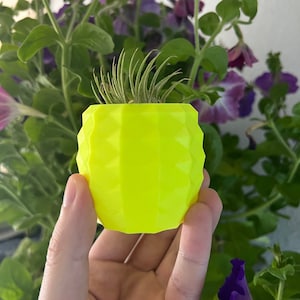 May include: A small air plant in a bright yellow geometric planter. The planter is made of a smooth, hard plastic and has a unique, modern design.