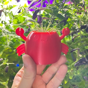 May include: A red, 3D printed crab planter with a small air plant growing inside. The planter has a cute, cartoon-like face.