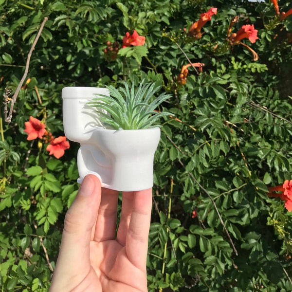 Toilet Air Plant Holder | Succulent | Home Decor | 3D Printed with Drainage | Indoor Planter