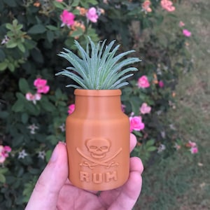 May include: A small terracotta-colored planter shaped like a bottle with a skull and crossbones design and the word "RUM" printed on the front. The planter is filled with a green air plant.
