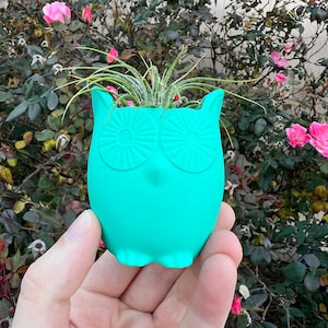 May include: A teal blue owl-shaped planter with a small air plant growing inside. The planter has a textured surface and is held in a person's hand.