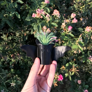May include: A black plastic bat planter with a small green succulent plant inside. The planter has two small holes for eyes.