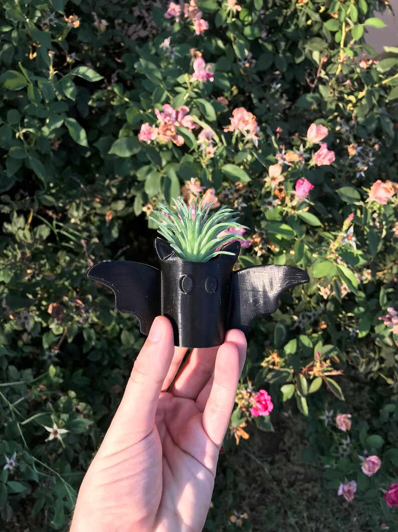 Peut inclure: Un pot de plante en forme de chauve-souris en plastique noir avec une petite plante succulente verte &agrave; l'int&eacute;rieur. Le pot a deux petits trous pour les yeux.