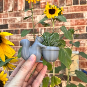 3D Printed Squirrel Succulent Planter with Drainage - Modern Indoor Home Decor Gift
