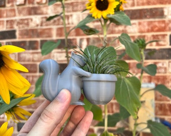 3D Printed Squirrel Succulent Planter with Drainage - Modern Indoor Home Decor Gift