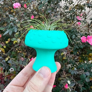 May include: A turquoise mushroom-shaped planter with a textured cap, holding a small air plant with long green leaves. The planter is held in front of a background of green foliage and pink roses, creating a vibrant contrast.