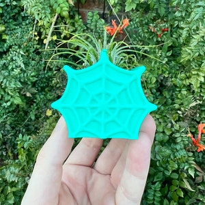 May include: A teal green ceramic planter shaped like a spider web. The planter is holding a small air plant.