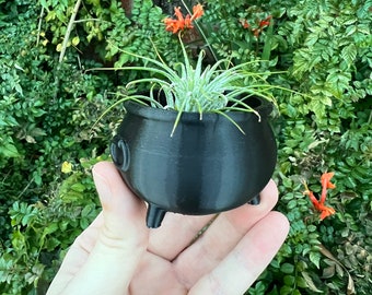 Cauldron Succulent Planter | Home Decor | Modern Planter | 3D Printed with Drainage | Indoor Planter