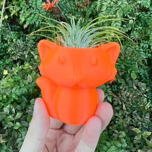 May include: Orange fox-shaped planter with a small air plant growing inside. The planter is being held in a hand.
