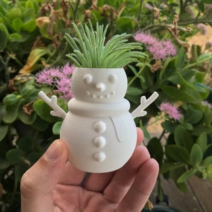 May include: White snowman-shaped planter with a green air plant growing out of the top. The planter has a black scarf and three black buttons.